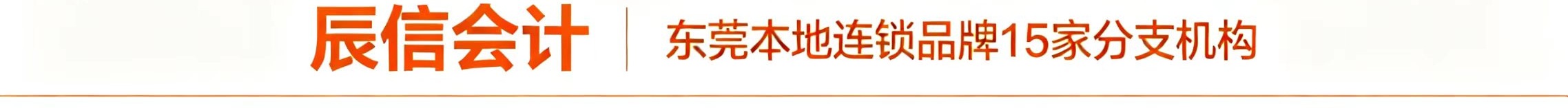 公司注销代办推荐辰信会计 公司注销代办推荐辰信会计